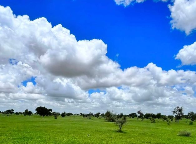 أمطار متوقعة في الجنوب والوسط وحرارة مرتفعة في الشمال